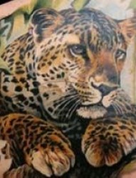 豹子纹身图案集勇猛于一身