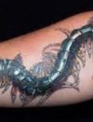 手臂蜈蚣纹身图案