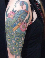 大臂上漂亮的孔雀纹身