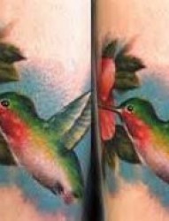 手臂上一只彩色的蜂鸟纹身图案