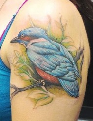 大臂上的翠鸟纹身图案
