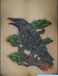 松树乌鸦纹身图案