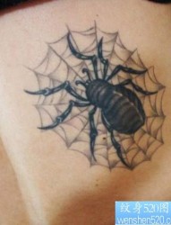 趴在网上的另类小蜘蛛纹身