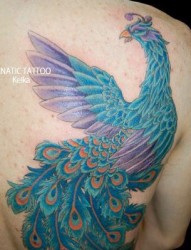 漂亮的蓝孔雀纹身