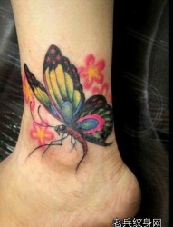一幅脚踝彩色蝴蝶纹身作品
