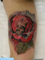 手臂彩色玫瑰花纹身作品