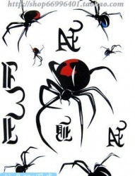 一组蜘蛛纹身手稿作品