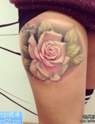 一幅女人腿部玫瑰花纹身作品