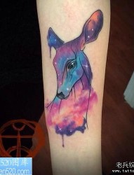 一幅手臂彩色星空鹿纹身作品