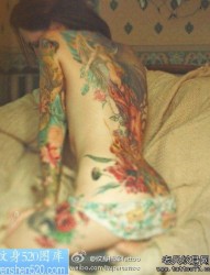 一幅女人彩色满背纹身作品