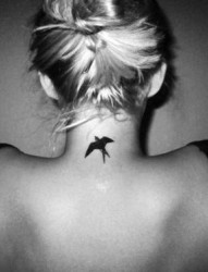 女式背部一只小巧的燕子纹身图案