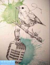 一幅素描鸟纹身作品
