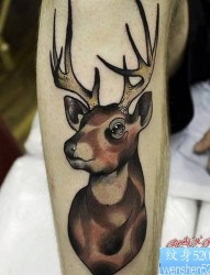 一幅腿部彩色羚羊纹身作品