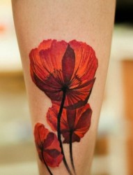 艳丽而富有毒性的罂粟花纹身图案