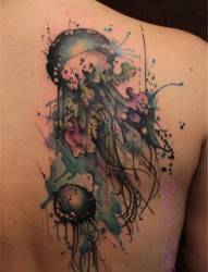 一幅背部彩色水母纹身作品