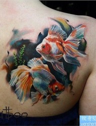 一幅肩背彩色金鱼纹身作品