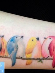 可爱的彩色小鸟纹身图案图案