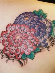 彩色菊花纹身图案