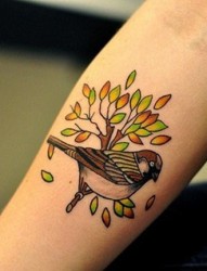 小鸟树枝纹身图案图案