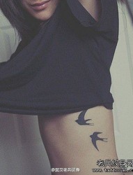 女人侧腰燕子纹身图案