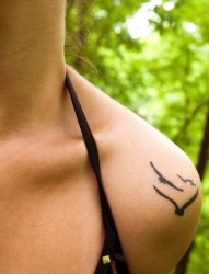 一幅女人肩部海鸥纹身图案