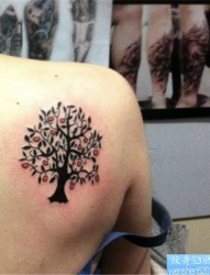一幅肩背树纹身图案