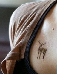 女生胸部可爱小鹿纹身图案