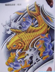 中华锦鲤纹身手稿（35）