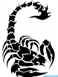 一幅图腾蝎子纹身图案