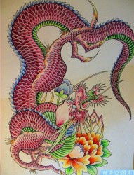 彩色传统龙纹身手稿图案