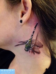 女孩脖子处蜻蜓纹身图案图案