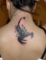女性背部帅气的蝎子纹身