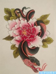牡丹花蛇纹身手稿图案