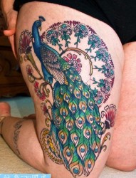 女性大腿蓝孔雀纹身图案图案