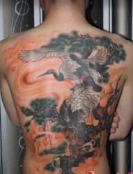 女士后背满背彩色白鹤纹身图案