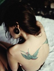 女性肩背彩色燕子纹身图案