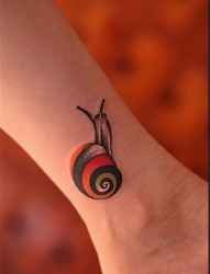 脚踝蜗牛纹身图案
