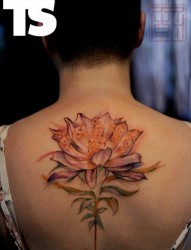 背部一款个性莲花纹身图案