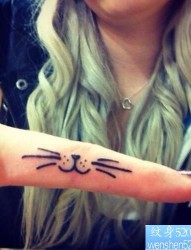 手指一只小猫胡须纹身图案