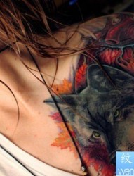 女性个性胸部狼纹身图案