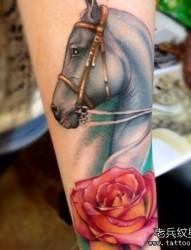腿部彩色腿部马纹身图案由纹身图案
