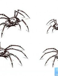 蜘蛛纹身手稿图案