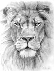 非常逼真的狮子头纹身手稿