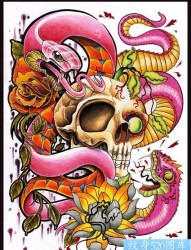 彩色骷髅蛇纹身图案