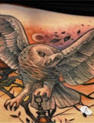 个性的猫头鹰纹身图案