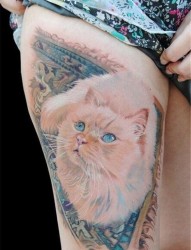 一组猫咪纹身图案