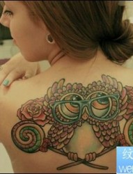 女性背部彩色个性猫头鹰纹身图案