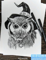 萌神猫头鹰纹身手稿图案