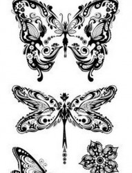 一组黑白色蝴蝶纹身手稿