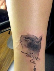 一款脚踝猫咪纹身图案